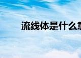 流线体是什么意思（流线体的意思）