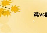 鸡vs鳄鱼（jivin）