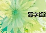 狐字组词（狐字组词）