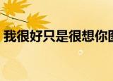 我很好只是很想你图片（我很好只是很想你）