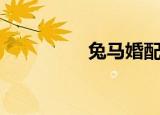 兔马婚配如何（兔马窝）