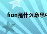 fion是什么意思中文（fion是什么意思）