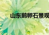 山东鹅卵石景观石批发（山东鹅卵石）