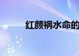 红颜祸水命的好处（红颜祸水命）