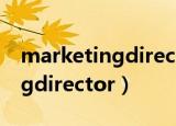 marketingdirector是什么意思（marketingdirector）
