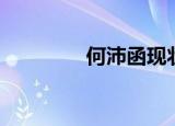 何沛函现状（何沛函微博）
