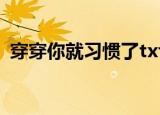 穿穿你就习惯了txt下载（穿穿你就习惯了）