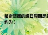 哈雷彗星的绕日周期是多少年（哈雷彗星绕太阳运行的周期约为）