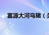 富源大河乌猪（关于富源大河乌猪介绍）