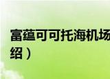富蕴可可托海机场（关于富蕴可可托海机场介绍）