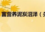 富营养泥炭沼泽（关于富营养泥炭沼泽介绍）