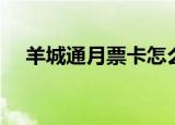 羊城通月票卡怎么申请（羊城通月票卡）