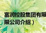 富润控股集团有限公司（关于富润控股集团有限公司介绍）