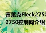 富莱克Fleck2750控制阀（关于富莱克Fleck2750控制阀介绍）