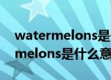 watermelons是什么意思中文翻译（watermelons是什么意思）