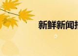 新鲜新闻报道（新鲜新闻）