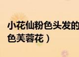 小花仙粉色头发的精灵王是谁图片（小花仙粉色芙蓉花）