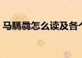 马騳骉怎么读及各个字意思（马騳骉怎么读）