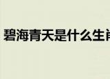 碧海青天是什么生肖（碧海青天是什么生肖）
