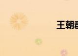 王朝群（王朝群）