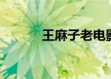 王麻子老电影（王麻子电视剧）