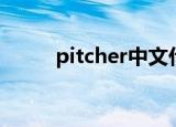 pitcher中文什么意思（pitcher）
