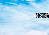 张羽翼（张羽翼）