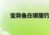 变异鱼在哪里钓最好（变异鱼在哪钓）