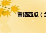 富硒西瓜（关于富硒西瓜介绍）