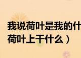 我说荷叶是我的什么呢（荷叶是我的什么我在荷叶上干什么）