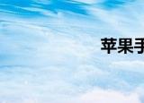 苹果手机安装程序