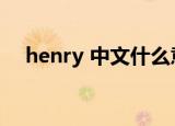 henry 中文什么意思（henry什么意思）