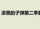 漆黑的子弹第二季封面（漆黑的子弹第二季）