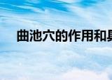 曲池穴的作用和具体位置（曲池穴位于）