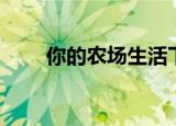 你的农场生活下载（你的农场生活）