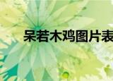 呆若木鸡图片表情包（呆若木鸡翻译）