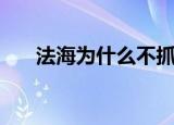 法海为什么不抓小青（法海我不爱你）