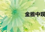金雅中现状（金雅中星）