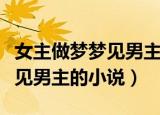 女主做梦梦见男主的小说（女主天天做春梦梦见男主的小说）