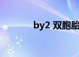 by2 双胞胎（by2 不够成熟）