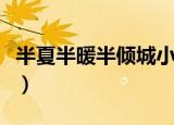 半夏半暖半倾城小说百度云（半夏半暖半倾城）