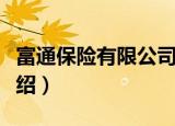 富通保险有限公司（关于富通保险有限公司介绍）