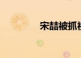 宋喆被抓视频（宋喆被抓）