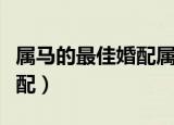 属马的最佳婚配属相什么最好（属马的最佳婚配）