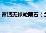富钙无球粒陨石（关于富钙无球粒陨石介绍）