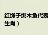 红绳子绑木鱼代表什么生肖（五花大绑是什么生肖）