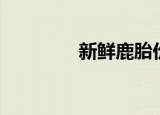 新鲜鹿胎价格（鹿胎价格）
