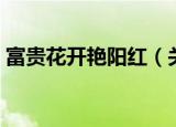 富贵花开艳阳红（关于富贵花开艳阳红介绍）