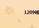 1209啥意思（1209）
