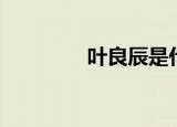 叶良辰是什么梗（叶良成）